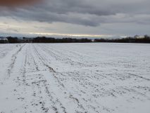 Działka rolna Czułów Zręby