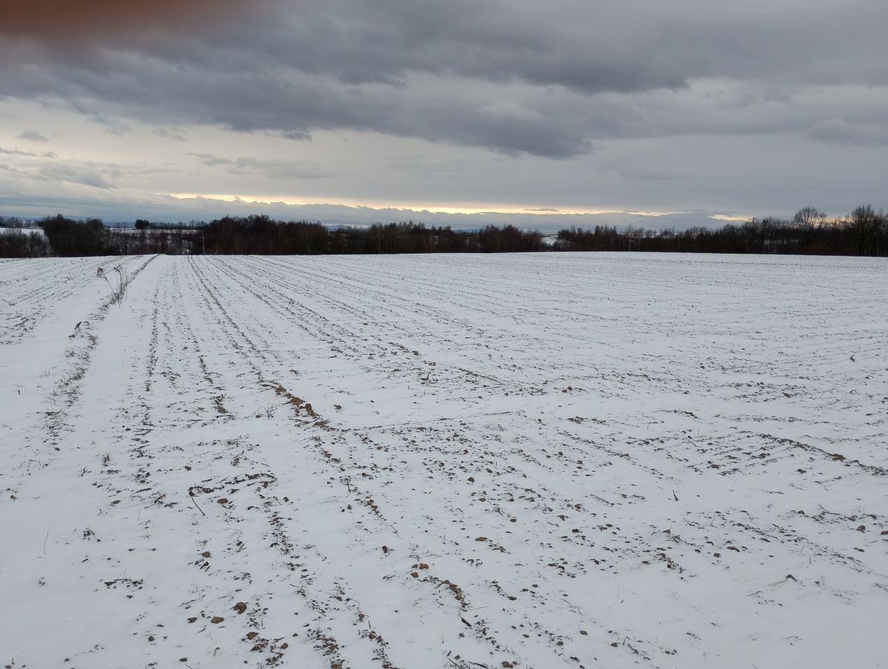Działka rolna Czułów Zręby