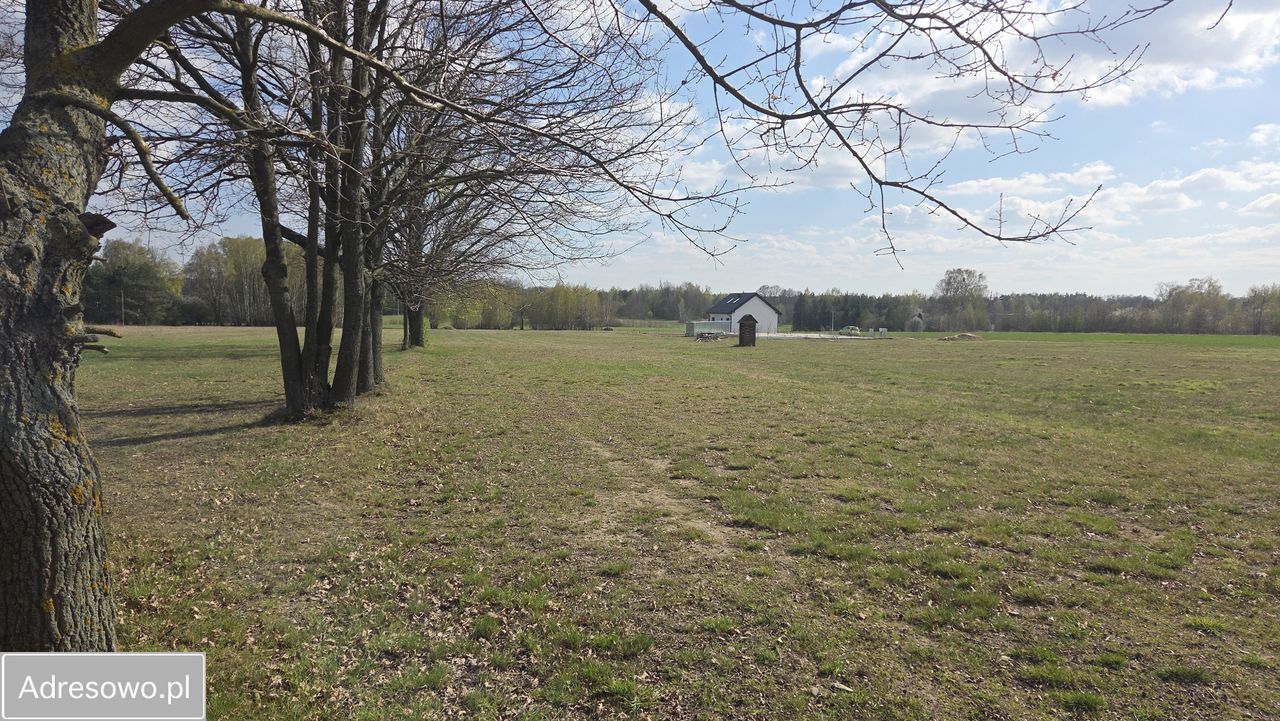 Działka siedliskowa Kaleń-Towarzystwo, ul. Śliwkowa. Zdjęcie 5