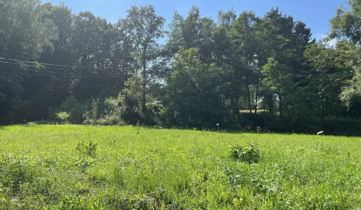 Działka budowlana Skrzyszów