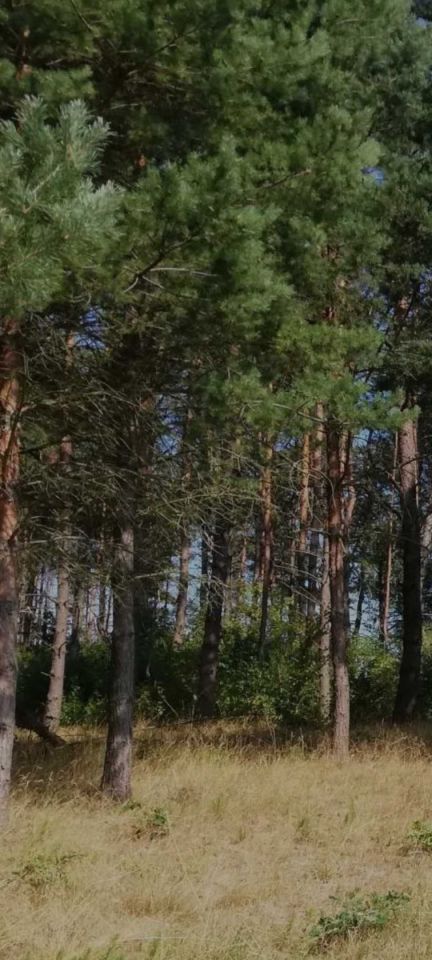 Działka budowlana Chwaszczyno, ul. Adama Mickiewicza. Zdjęcie 2