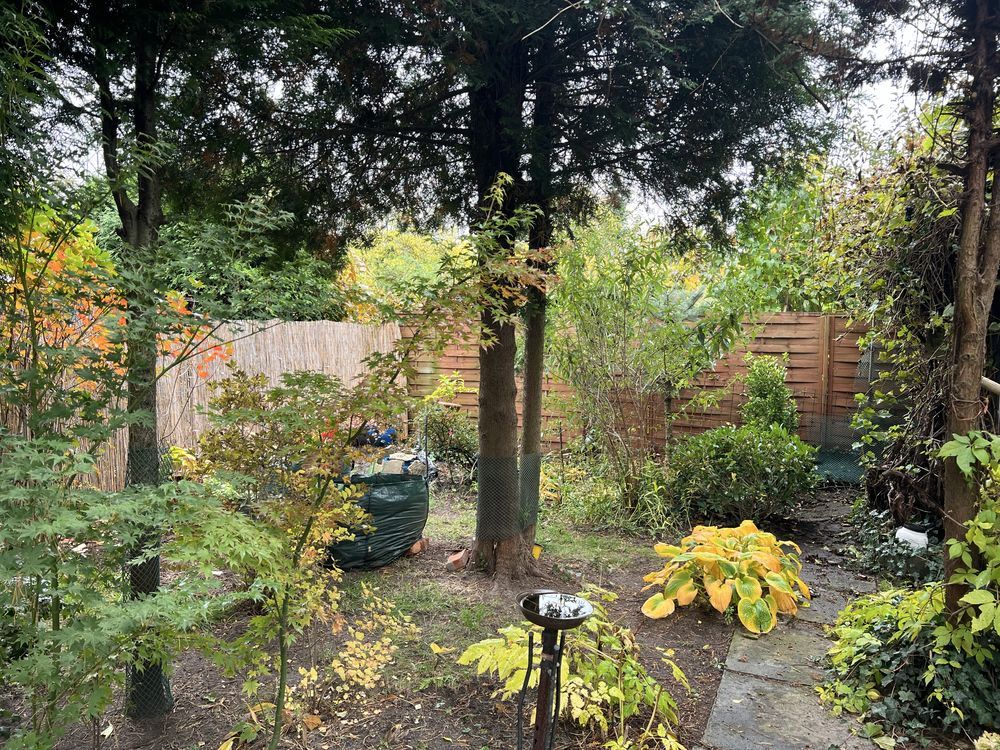 Działka rod Dąbrowa Górnicza, ul. Tysiąclecia. Zdjęcie 8