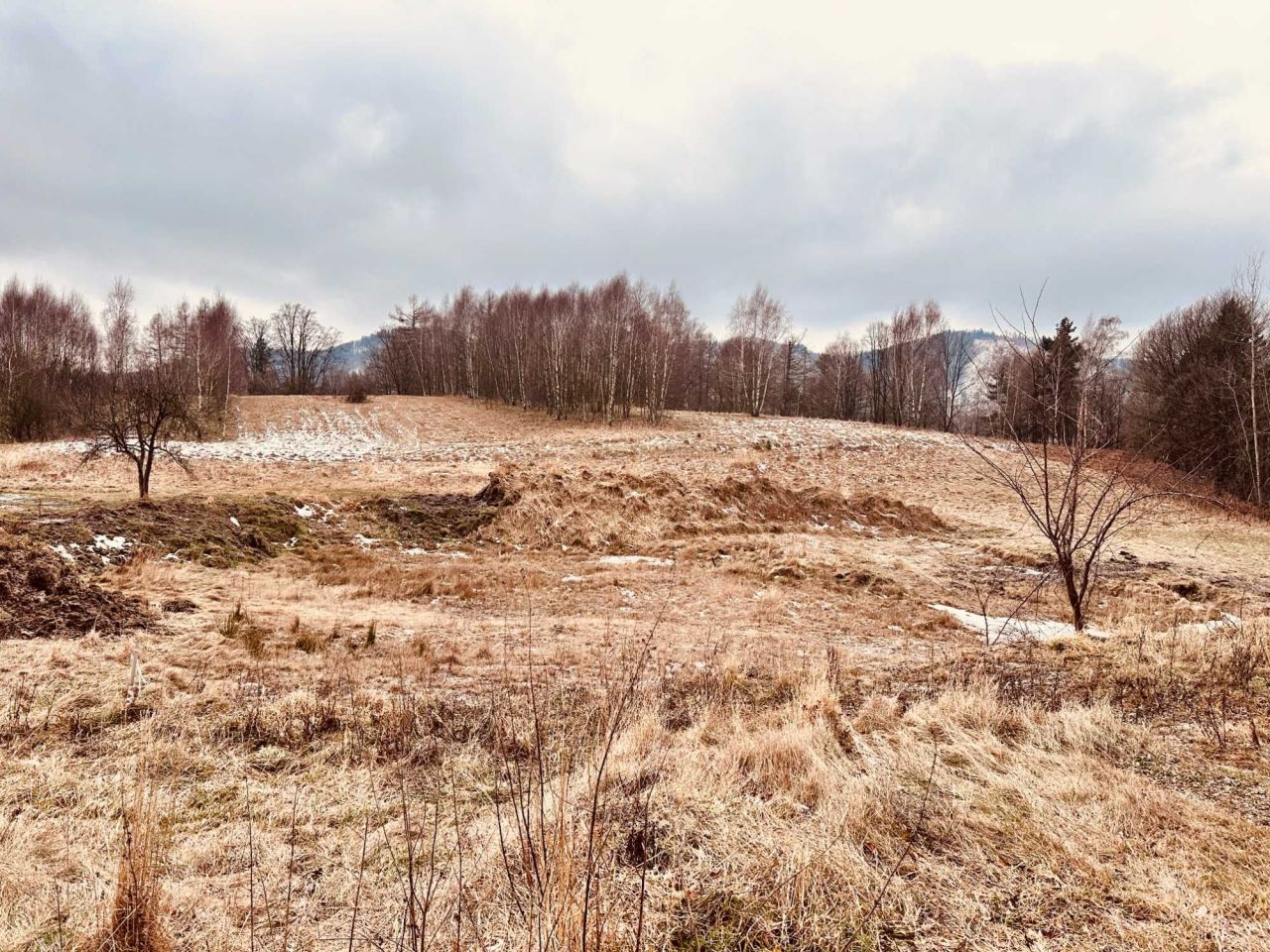 Działka budowlana Jedlina-Zdrój. Zdjęcie 3