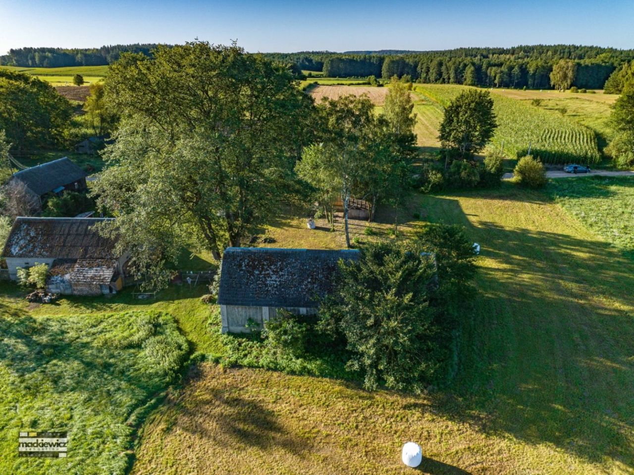 Działka siedliskowa Cimanie. Zdjęcie 15