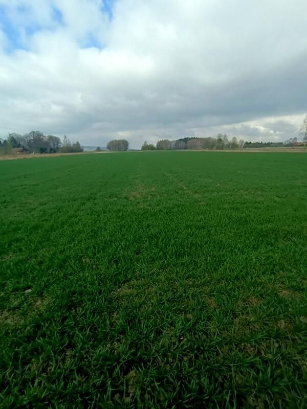 Działka budowlana Świerzowa Polska. Zdjęcie 6