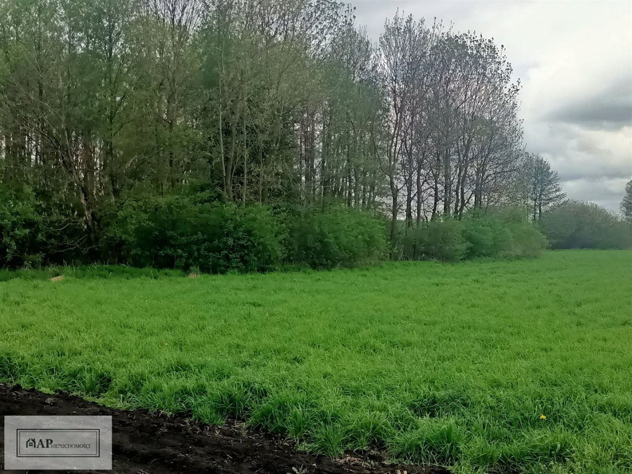 Działka Jabłków. Zdjęcie 3