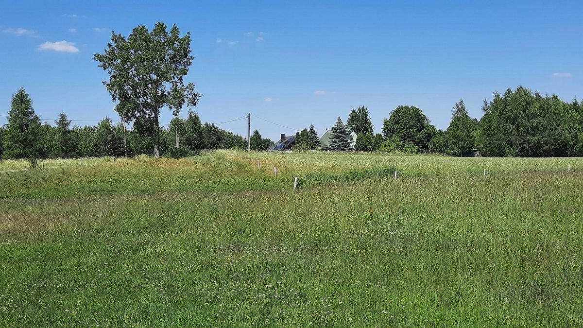 Działka rolna Gremzdy Polskie. Zdjęcie 4