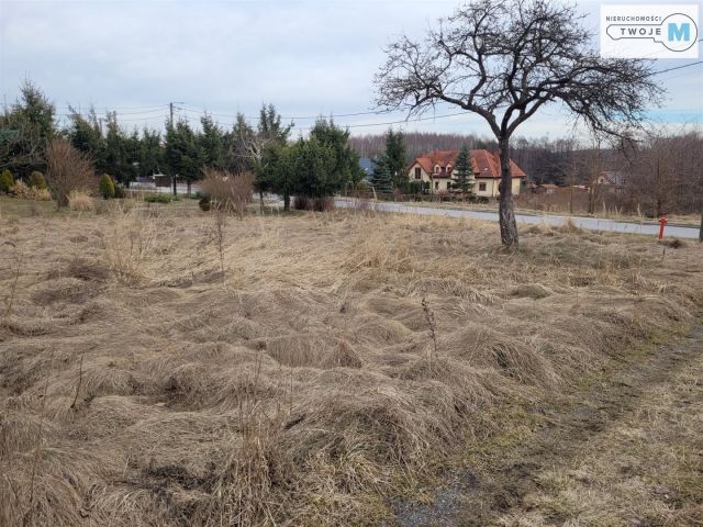 Działka inwestycyjna Kostomłoty Pierwsze. Zdjęcie 15