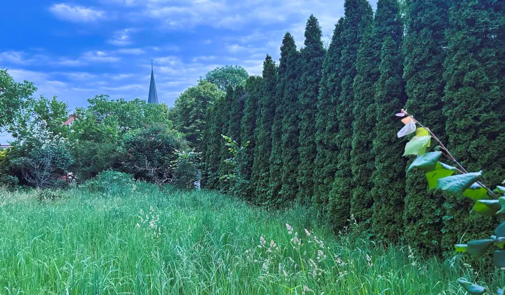 Działka budowlana Wojnowice, ul. Główna
