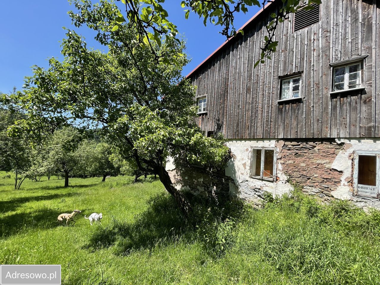 dom wolnostojący, 4 pokoje Konradów