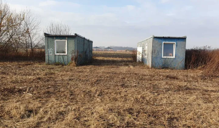 Działka budowlana Wólka Kosowska, ul. Brzoskwiniowa