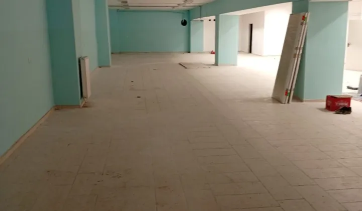 Lokal Lewin Brzeski, ul. Hallera