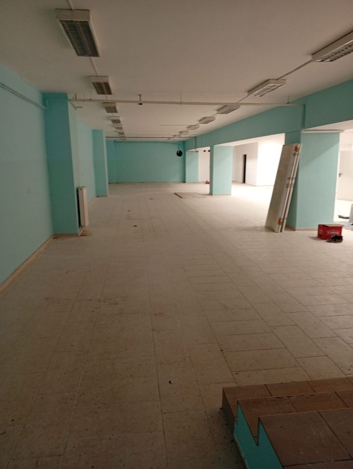 Lokal Lewin Brzeski, ul. Hallera