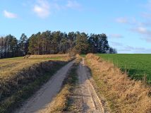 Działka rolna Skrzypki. Zdjęcie 2