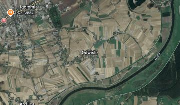 Działka rolno-budowlana Odwiśle, Odwiśle