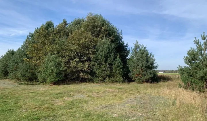 Działka budowlana Dobroń, ul. Zakrzewki