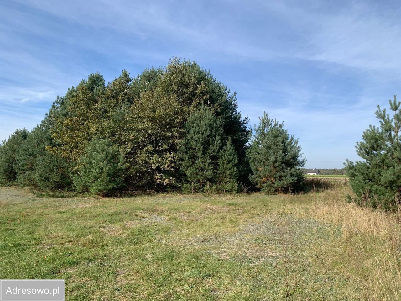 Działka budowlana Dobroń, ul. Zakrzewki. Zdjęcie 1