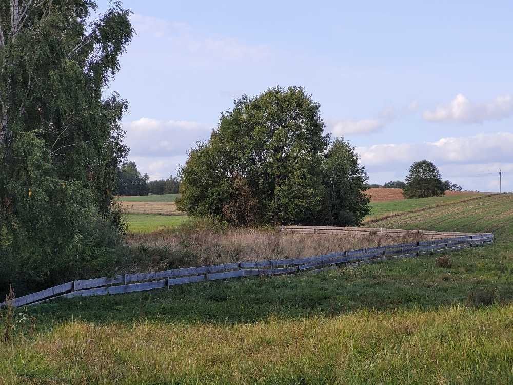 Działka rolno-budowlana Rajgród, ul. Ostejki. Zdjęcie 3