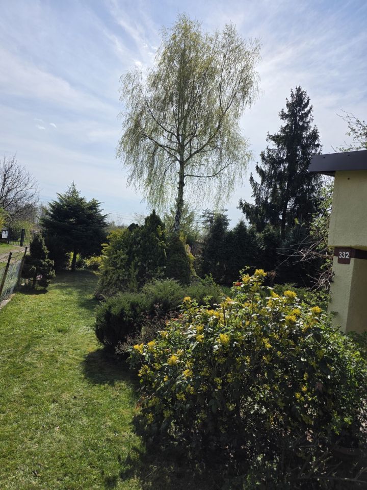 Działka rod Sosnowiec Klimontów. Zdjęcie 5