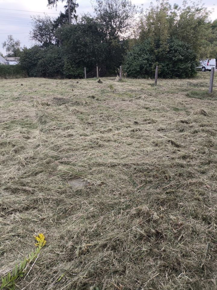 Działka na sprzedaż bez pośredników 
 
 ul. Stawowa 
 
 Czeladź Piaski - Widok 4