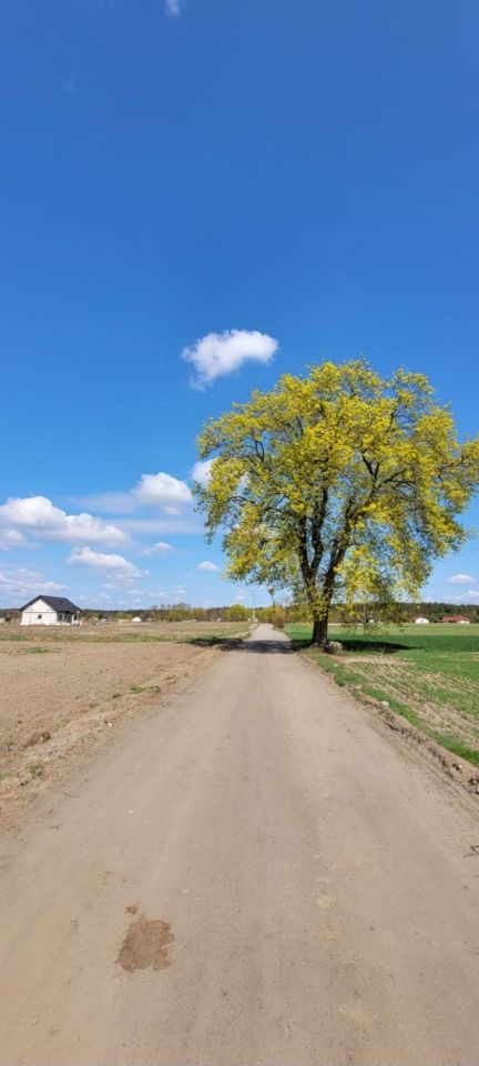 Działka budowlana Tur. Zdjęcie 3