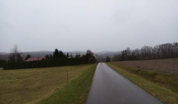 Działka rolno-budowlana Reczpol Przedchołowice