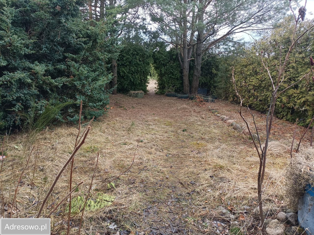 Mieszkanie 3-pokojowe Wyczechy. Zdjęcie 16