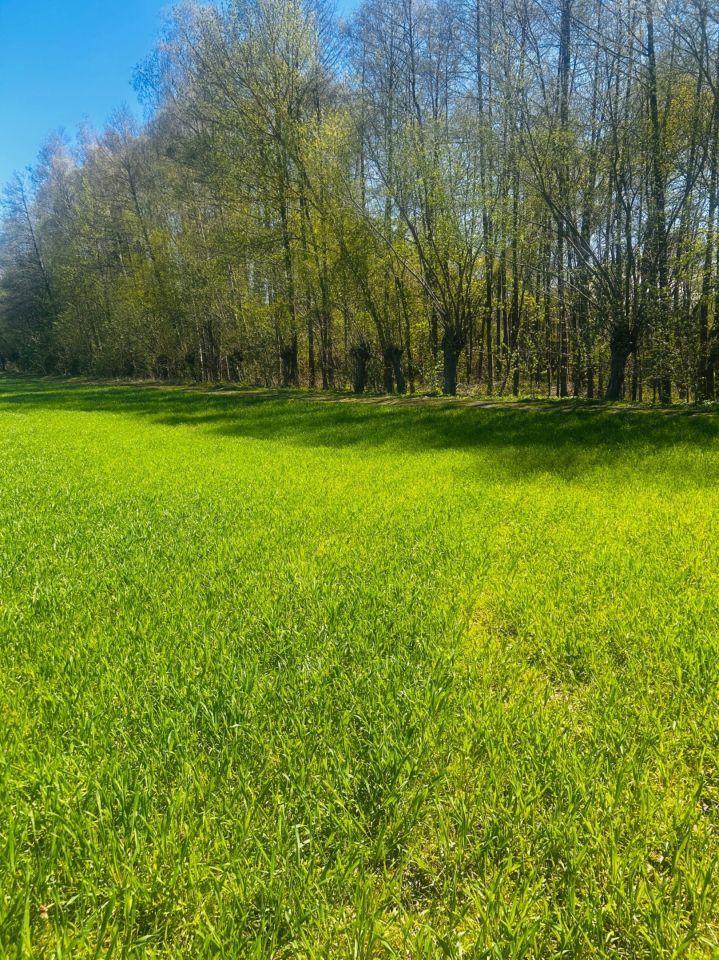 Działka rolna Zwierzyn. Zdjęcie 2