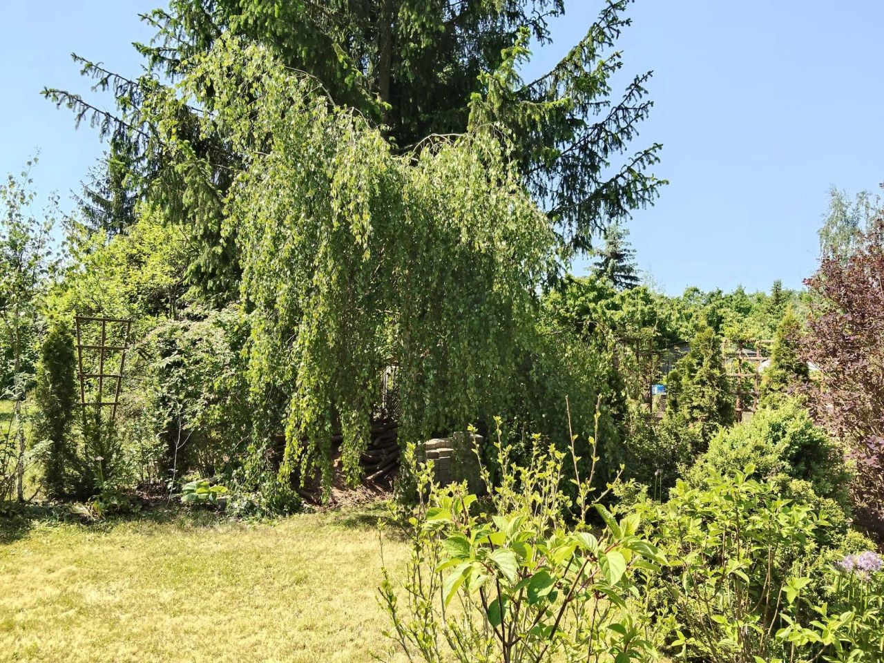 Działka rod Wrocław Fabryczna, ul. Kozia. Zdjęcie 8
