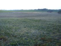 Działka rolna Wilkiejmy. Zdjęcie 4