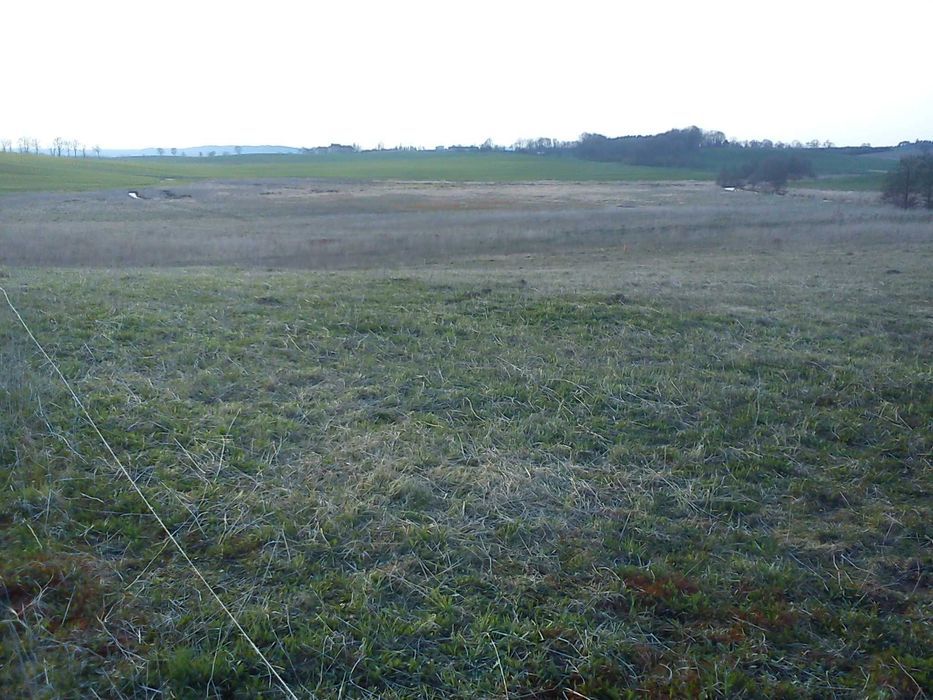 Działka rolna Wilkiejmy. Zdjęcie 5