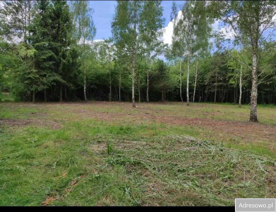 Działka rolno-budowlana Toporów. Zdjęcie 5