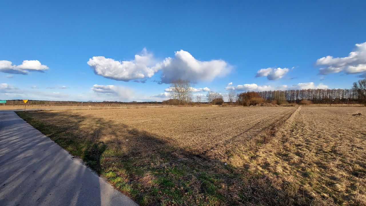 Działka rolno-budowlana Kuchary. Zdjęcie 3