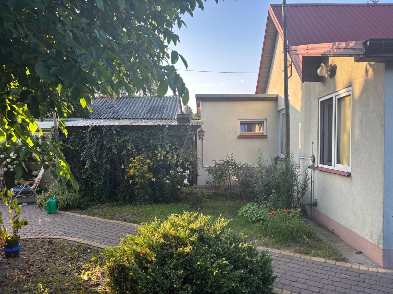 Działka siedliskowa Zieleniec. Zdjęcie 7