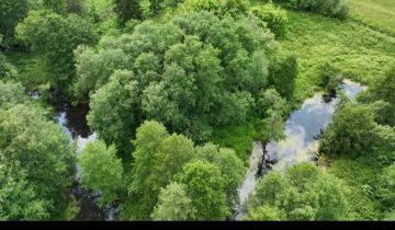 Działka siedliskowa Nowe Wymyśle