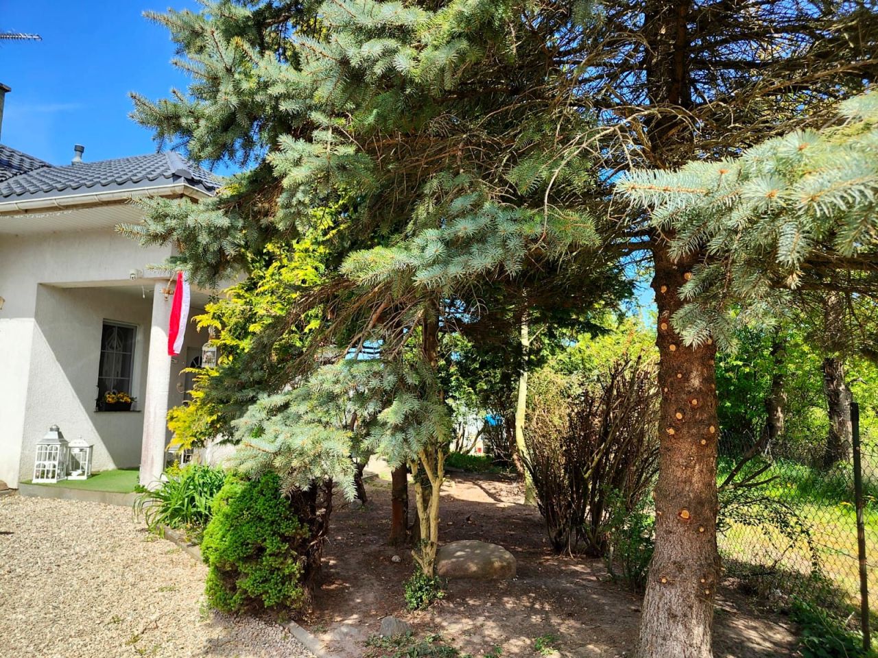 dom wolnostojący, 6 pokoi Strzeżenice. Zdjęcie 19