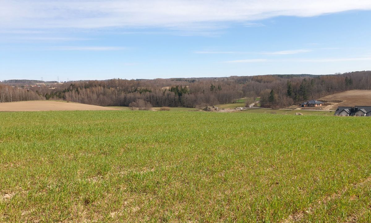 Działka budowlana Barłomino. Zdjęcie 12