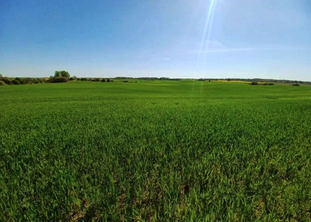 Działka budowlana Osiek Drawski. Zdjęcie 4