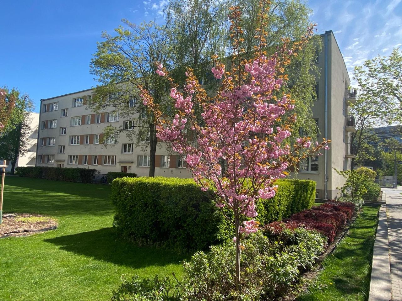 Mieszkanie 2-pokojowe Poznań Łazarz, ul. Klaudyny Potockiej. Zdjęcie 1