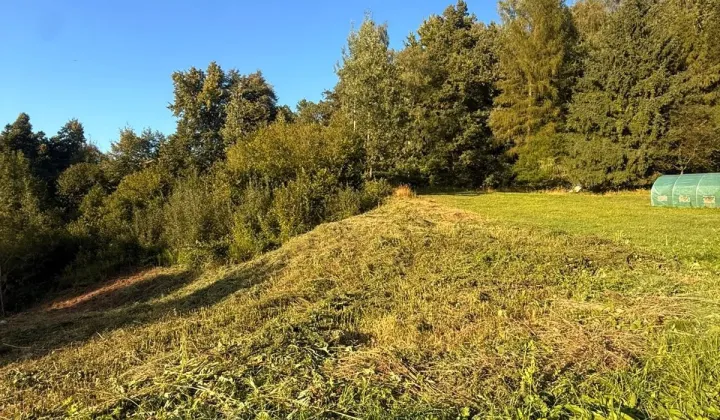 Działka Ochojno