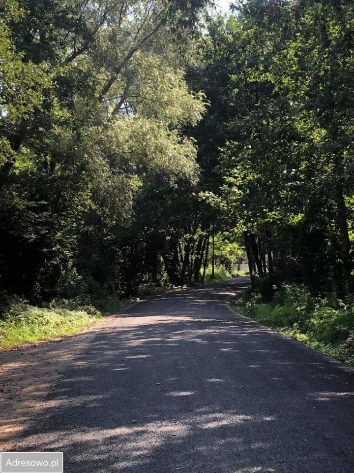 Działka rekreacyjna Stefanowo. Zdjęcie 2