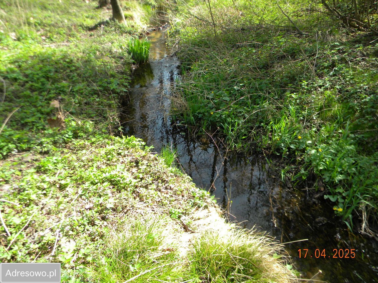 Działka rolna Nowy Dworek. Zdjęcie 2