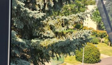 Mieszkanie 2-pokojowe Zamość Nowe Miasto, ul. Hetmana Jana Zamoyskiego