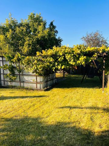 Działka rod Wrocław Księże Małe, ul. Zabrzańska. Zdjęcie 2