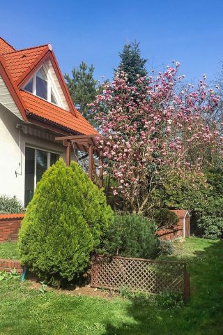 dom wolnostojący, 7 pokoi Warszawa Białołęka, ul. Truskawkowa. Zdjęcie 16