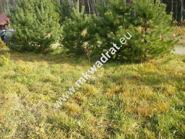 Działka budowlana Makówka. Zdjęcie 5