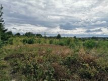 Działka budowlana Dołuje, ul. Żubrza. Zdjęcie 4