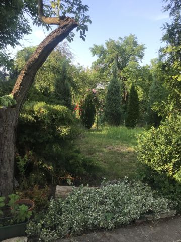 Działka rekreacyjna Legnica, ul. Chojnowska. Zdjęcie 1