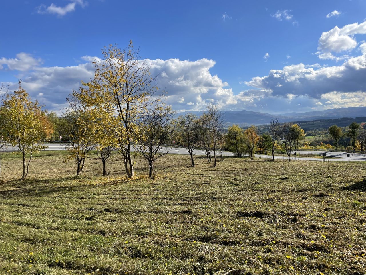 Działka siedliskowa Trzetrzewina Sołtystwo. Zdjęcie 4