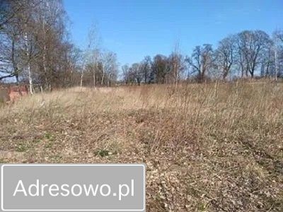 Działka rekreacyjna Pierkunowo. Zdjęcie 1